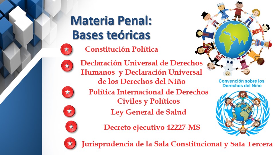 Presentación Protocolo Materia Penal Diapositiva 5